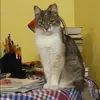 Отзыв от Ольга Панкова